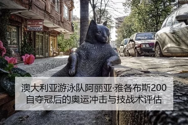 ao-da-li-ya-you-yong-dui-a-li-ya-ya-ge-bu-si-zi-duo-guan-hou-de-ao-yun-chong-ji-yu-ji-zhan-shu-ping-gu-2-804.jpg